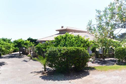 Apartamento Canella 4