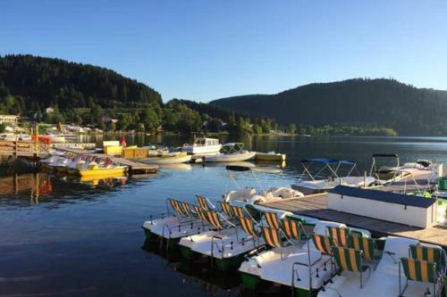 Apartment With One Bedroom In Gerardmer With Wifi