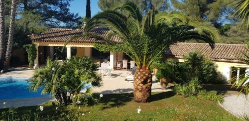 Charming House In The Heart Of A Pine Forest