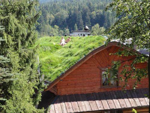 Bed & Breakfast Pensjonat Troll
