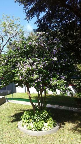 Del Sur Hotel-museo