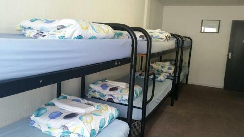 Loft 109 Backpackers Hostel