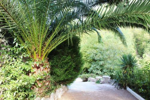 Bed & Breakfast Le Mas Des Aliz�s