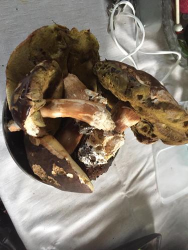 Le Bonheur Est Dans Mon Pr�