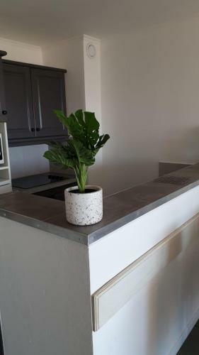 Apartamento Les Issambres 2 Bedroom With Sea View