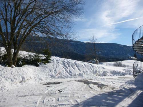 Apartamento Les Chamois