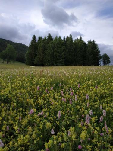 Apartamento Les Chamois