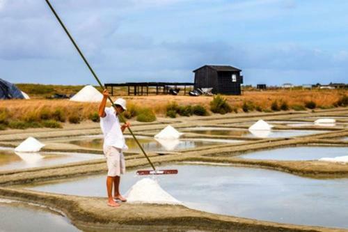 Ile de Noirmoutier - Maison de Plage � La Gu�rini�re