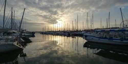 Apartment On The Port Of Cap D'agde