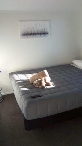 Albergue Microtel Yha Backpackers