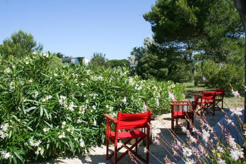 Les Portes-en-re Villa Sleeps 14 With Pool
