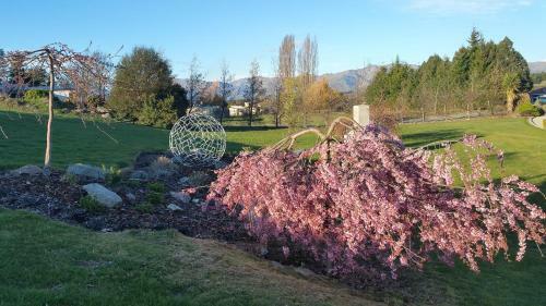 Bed & Breakfast Wanaka Alpine Lodge