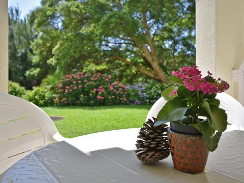Lovely Apartment With Swimming Pool, Private Terrace,parking