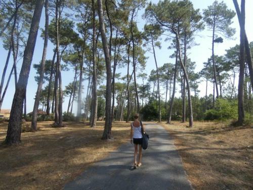 G�te Pissos, 2 Pi�ces, 4 Personnes - Fr-1-360-610