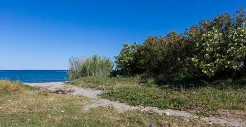 Apartamento R�sidence Odalys Acqua Bella
