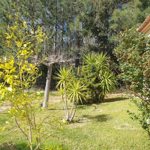 Belle Villa Familiale 10 Pers Climatis�e Piscine