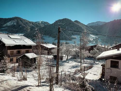 Apartment Birman, Praz-sur-arly
