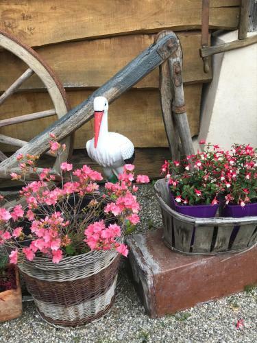 Apartamento G�te 1 La Grange de Delphine