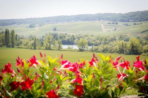Bed & Breakfast Domaine Bacchus