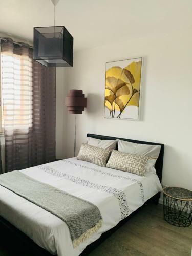 Apartamento Appartement Coeur de Roanne
