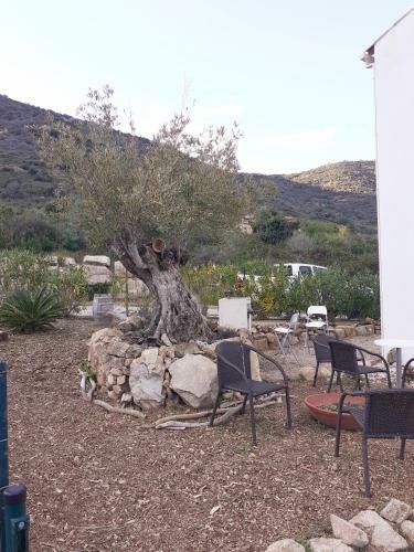 Apartamento A Vigna