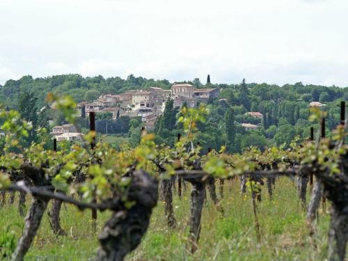 Villa Vignes