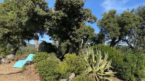 Mini Villa Dans Domaine Avec Vue Mer Et Acc�s Plage