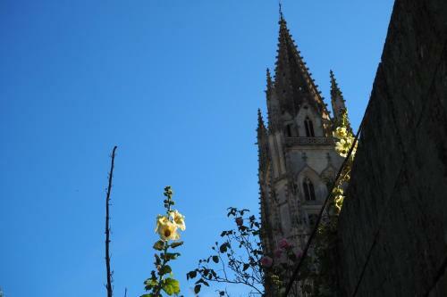 Bed & Breakfast La Belle Etoile