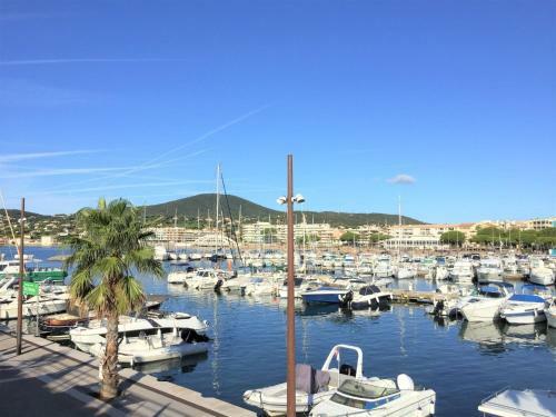 Apartment R�sidence Les Mimosas