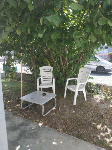 Apartamento Joli T3 Avec Jardin