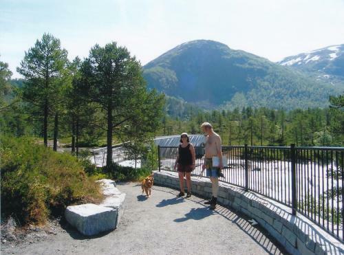 Lodge Hov Hyttegrend