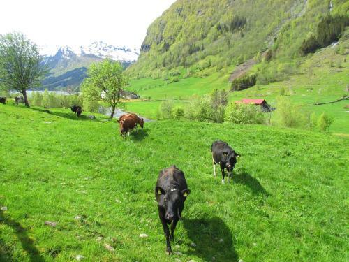 Tuftegarden 4h-gard Bed &amp; Breakfast