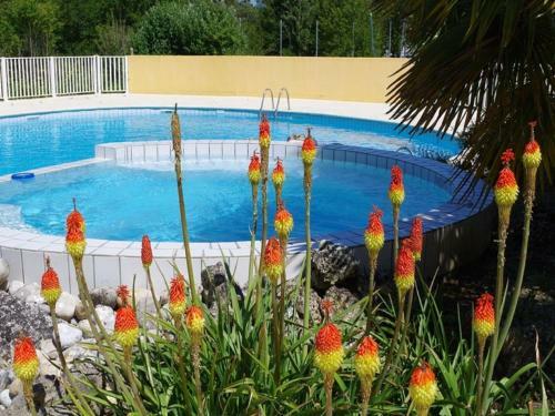 Classy Holiday Home In Saint-savinien With Sauna, Jacuzzi