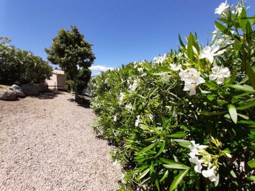 Hotel Sole Di Dume