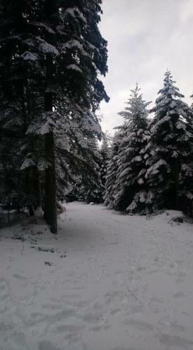 Hotel Auberge de Thelis