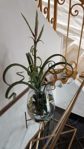 Bed & Breakfast Les �toiles