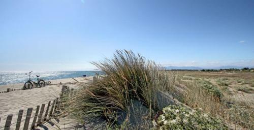 Maison Jardin Wifi - 100 M Plage Sauvage - 20 Min Perpignan