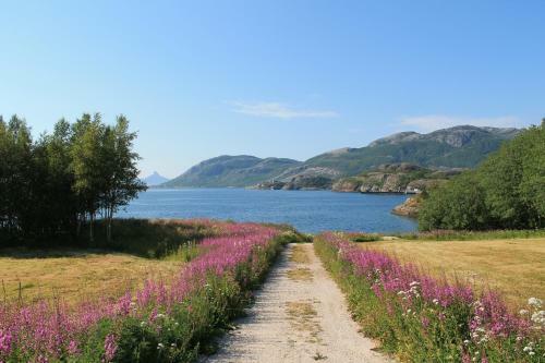 Sj�vik Vacation