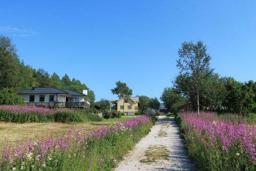 Sj�vik Vacation