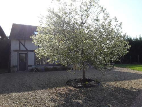 Bed & Breakfast La Belvini�re