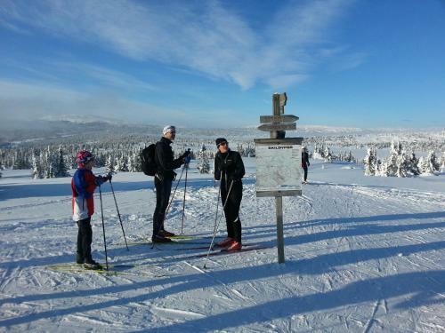 Nordseter Fjellstue