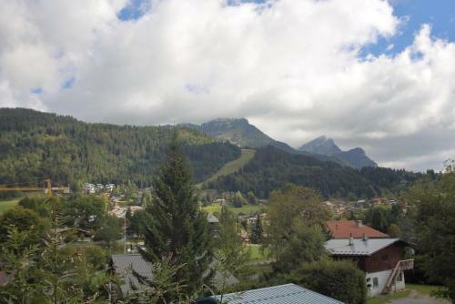 Chalet Beau Tanik 8 Pers Aux Carroz (Chbot)
