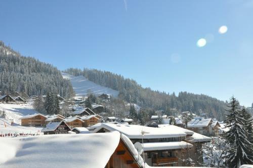 Chalet Beau Tanik 8 Pers Aux Carroz (Chbot)