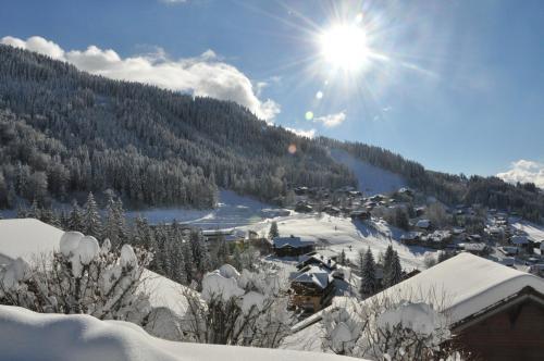 Chalet Beau Tanik 8 Pers Aux Carroz (Chbot)