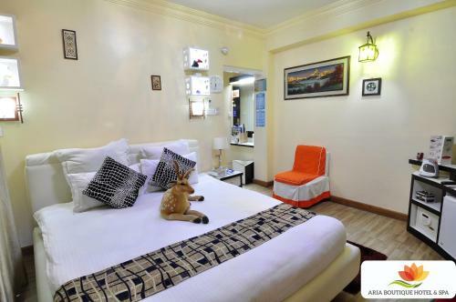 Royal Penguin Boutique Hotel