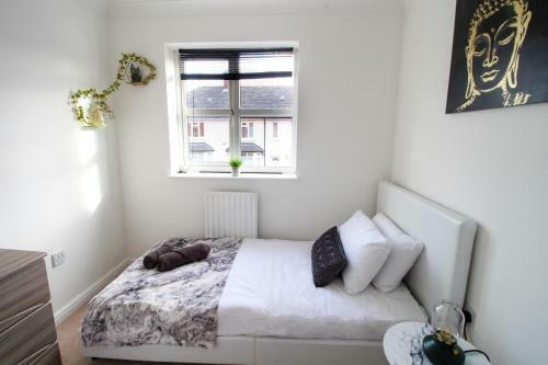 Big Contractor House, Modern Finish With Garden And Parking By Comfy Workers