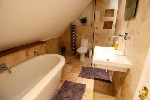 Big Contractor House, Modern Finish With Garden And Parking By Comfy Workers