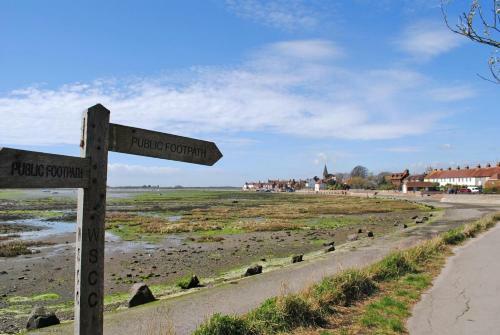Oysters, Bosham