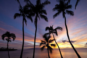 Hotel Napili Kai Beach Resort