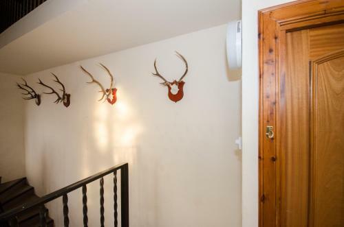 Braemar Apartment